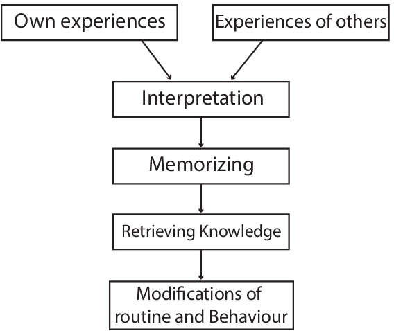 Basic Components of Learning Process